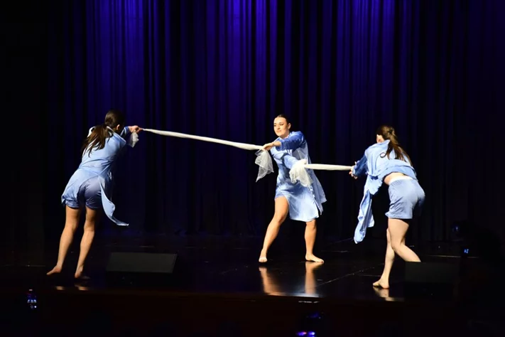 Liberation Dance Show by Zirka